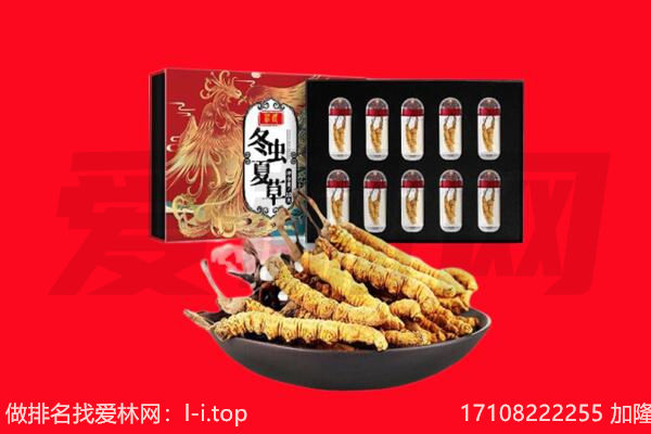 贡井区回收虫草.jpg